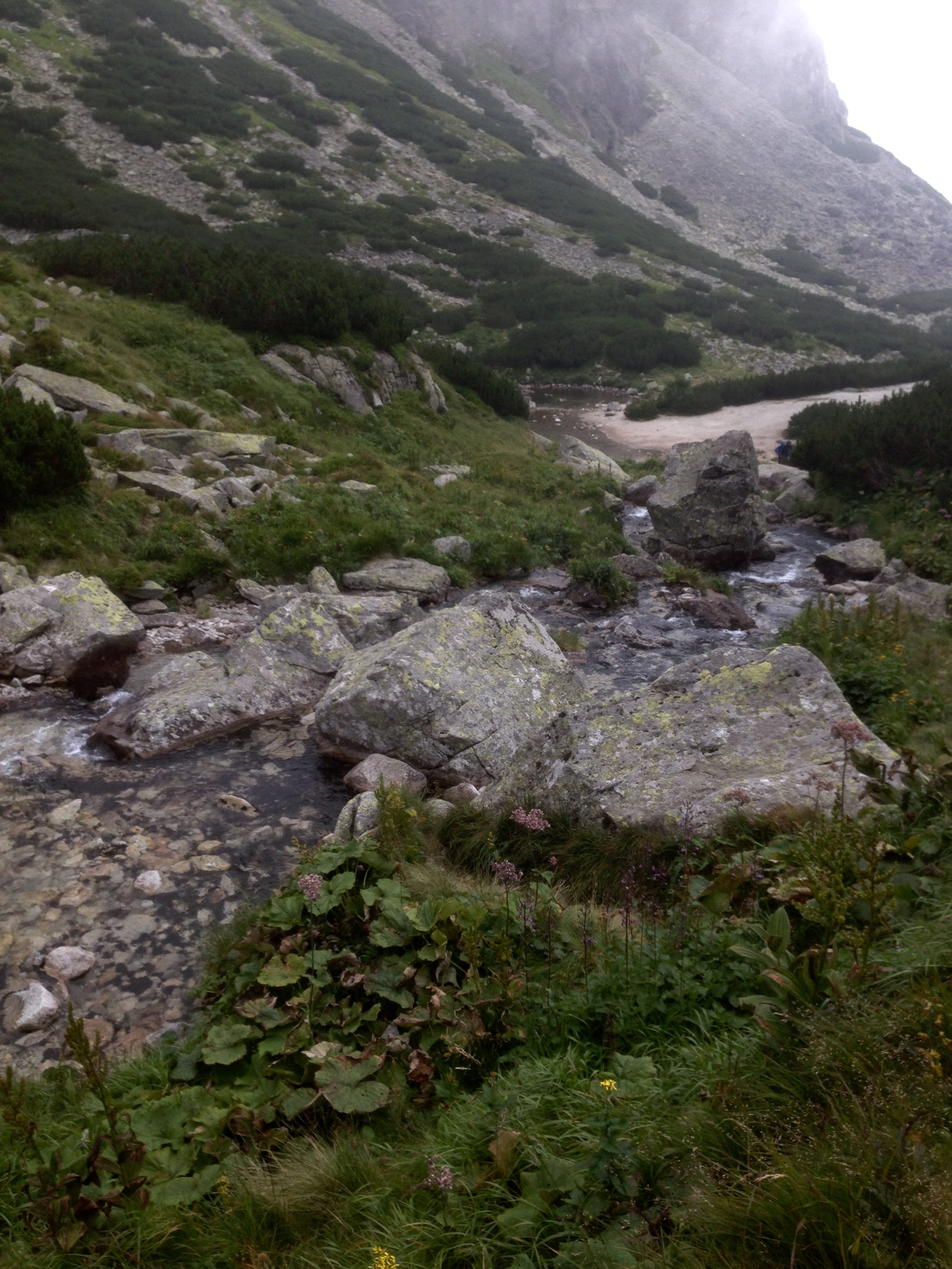 pleso skok