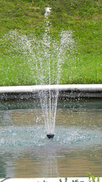 dscn0316