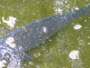 dscn0297