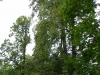 dscn0301
