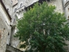 dscn0337