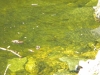 dscn0867